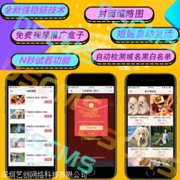 打賞系統(tǒng)解決方案源碼建設(shè)