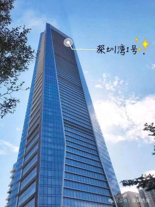 2025 深圳灣1號 售樓處i深圳灣1號官方網(wǎng)站深圳灣1號官方歡迎您
